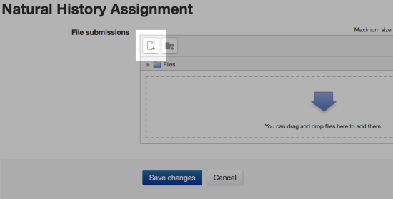 moodle submit assignment for student